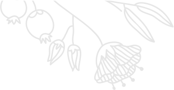 お花のイラスト