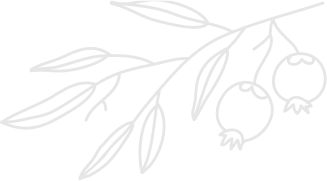 お花のイラスト