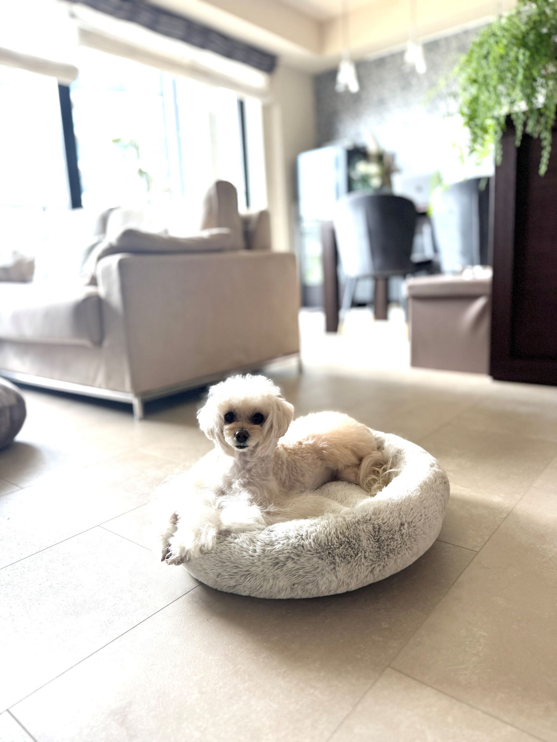 横浜市マンション　GROCKグレージュ